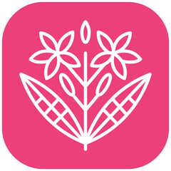 Ixora Vector Icon