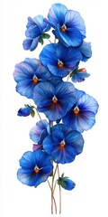 Vibrant Blue Pansy Flowers on a White Background for Nature and Floral Artwork