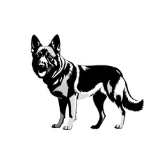 Fototapeta premium Black and White Silhouette Illustration of a german Shepherd standing alert in a playful pose on a white background showcasing its sleek form and attentive expression