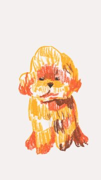 Animation with cute maltipoo dog.
 Animalistic vertical video with illustration drawn with wax crayons and oil pastels in a childish style