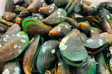 Fresh New Zealand Green-lipped Mussels