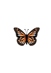 Monarch Butterfly Vector Art 