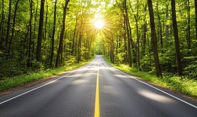 Obraz premium Sunny forest road with vibrant green trees on either side, straight lines converge with the sun