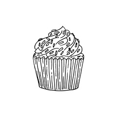 Cupcake with a swirl of frosting and sprinkles on top vector hand drawn.