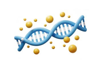 A 3D illustration of a blue DNA double helix with white connecting bars isolated on transparent background