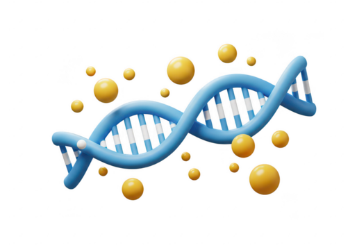 A 3D illustration of a blue DNA double helix with white connecting bars isolated on transparent background