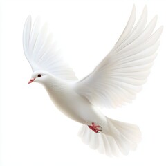 Fototapeta premium Graceful white dove in flight against a bright background symbol of peace freedom and hope with beautiful wings and feathers