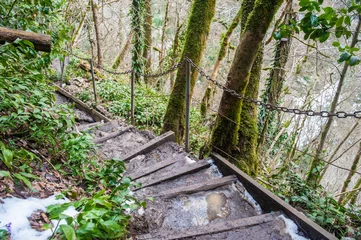 Fototapete Rund Steep wooden stairs descend through lush forest near a flowing river in winter © Александр Довянский