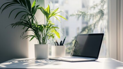 Fototapeta premium Laptop with plants, window, and sunlight office.