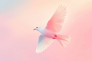 Obraz premium Elegant White Bird in Soft Pastel Sky with Delicate Wings
