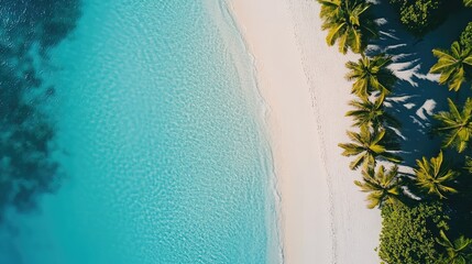 Aerial View of Clear Blue Ocean and Tropical Beach with Palm Trees