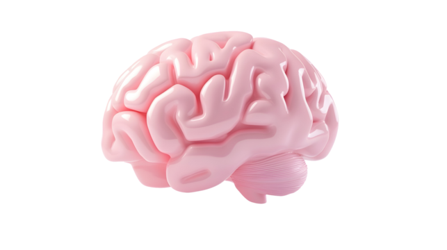 cute 3d brain icon, intelligence and creativity concept, smooth and minimalistic design, Transparent Background PNG