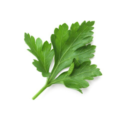 Sprig of fresh parsley isolated on white, top view