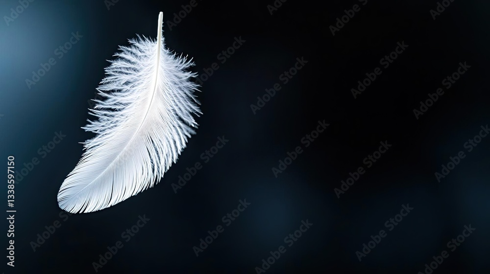 Poster negative space design abstract background concept. a delicate white feather gracefully suspended aga