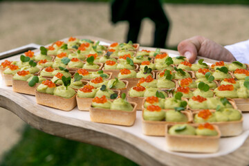 alimento, ensalada, jitomate, verduras, comida, rojo, cena, cocina, verde, salubre, almuerzo, delicioso, albahaca, aperitivo, pimiento, fresco, exquisito, sabroso, comida, menu, entrada