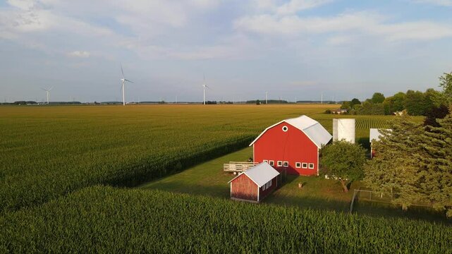 Traditional farm with red barn and surround by corn fields with wind turbines in the background on a golden summer evening in Michigan