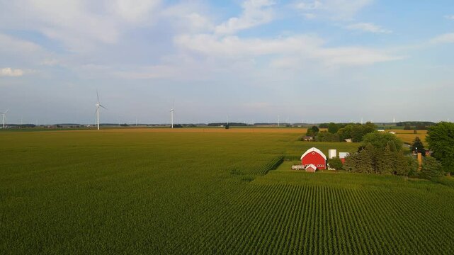 Traditional Midwest farm in the middle of a corn field with wind turbines in the background