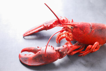Delicious boiled lobster on grey table, closeup