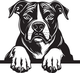 peeking american staffordshire terrier dog