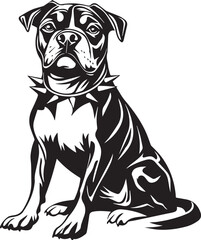 portrait of an american staffordshire terrier dog with collar