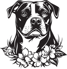 black and white portrait of an american staffordshire terrier dog