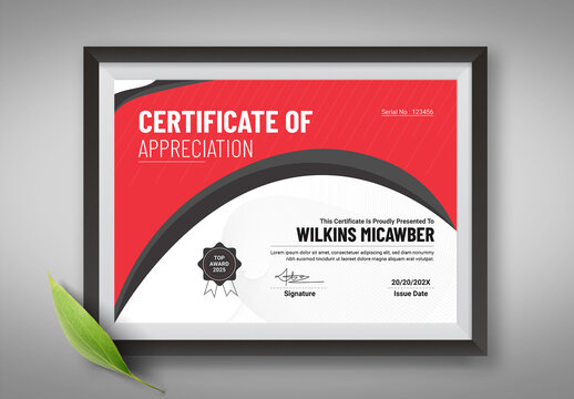 Certificate Template Layout Design