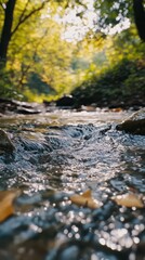 Fototapeta premium Tranquil Stream Flowing Through Lush Forest with Sunlight Highlights