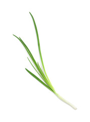 Fresh green onion isolated on white, top view