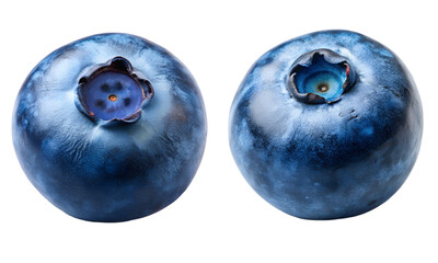 Blueberry fruits set, Blueberry berries set isolated