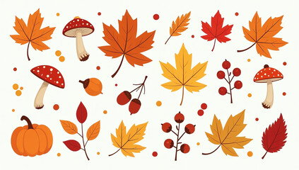 autumn elements fall leaves mushrooms maple acorns berries oak pumpkins harvest time modern trendy illustration autumn floral