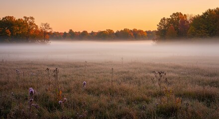 Serene autumn meadow at sunrise with misty fog and colorful trees