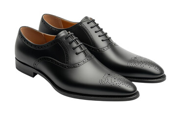 Elegant black leather dress shoes designed for formal occasions and special events