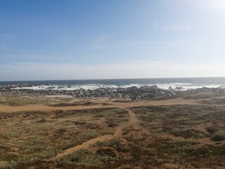Breathtaking view of Chile’s Pacific coast, featuring rugged rocks, golden sandy beach, and waves under a bright sky. Perfect for travel, nature, and coastal landscapes.