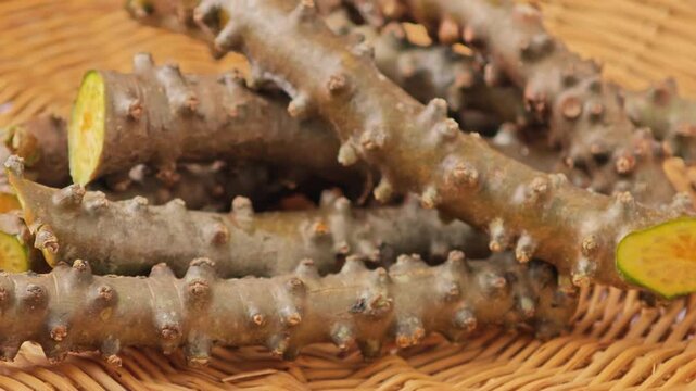 Tinospora cordifolia root, traditional medicinal plant.