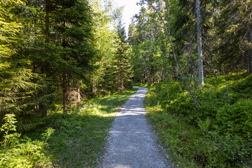 Wanderung Often&aring;sen - Steinkjer Norwegen 9