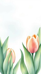 Zarte Aquarellillustration von rosa Tulpen und grünen Blättern auf hellem Hintergrund. Ideal für Frühlingsdesigns und botanische Hintergründe.
