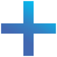 Obraz premium Plus Icon