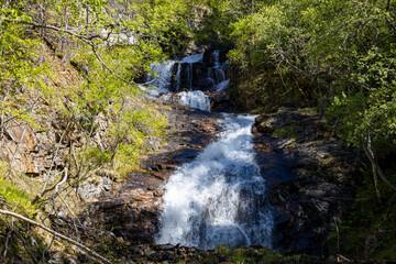 Junkerdalsura Naturreservat - Norwegen - Junkerdalen 10