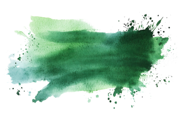 Abstract dark green watercolor brush stroke isolated on white and transparent background