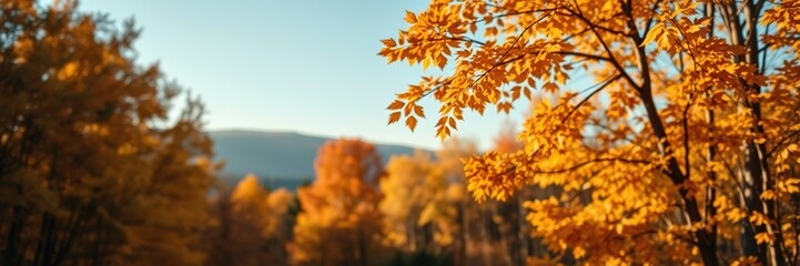 Autumnal Landscape with Empty Space for Text