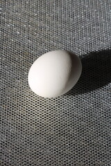 a white egg on a gray grid is large,