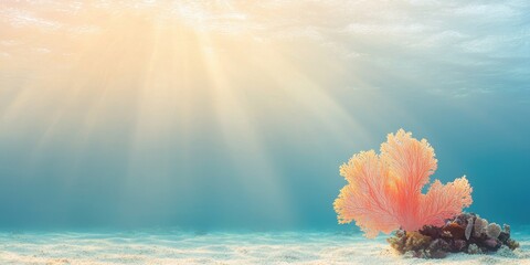 Underwater coral reef life ocean natural scene bright light serene