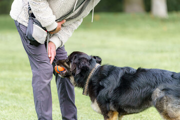 A male dog handler trains a dog on a special training ground.