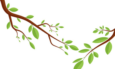 tree with leaves green branch and twig decoration clipart illustration cartoon