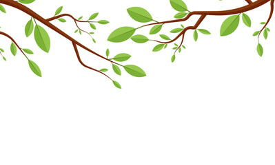Border summer branch leaves tree cartoon illustration