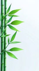 Naklejka premium bamboo leaves on bamboo background