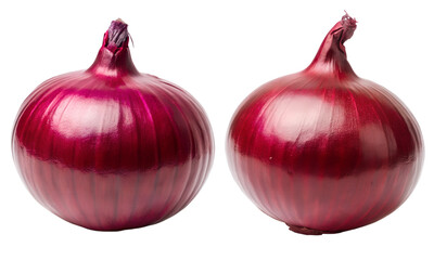 Red onion set, fresh onion collection isolated