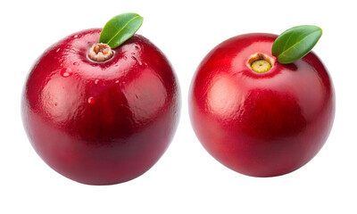 Cranberry set, Set of Cranberries, Berries isolated