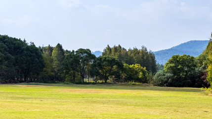 Tranquil Nature Landscape with Lush Greenery and Rolling Hills
