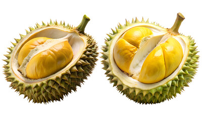 Durian fruits set, fresh fruits sliced isolated